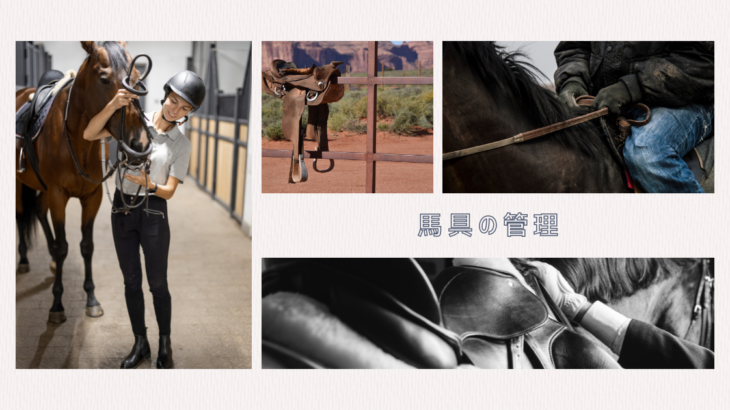 馬具の手入れ方法 – きれいで安全な馬具の維持